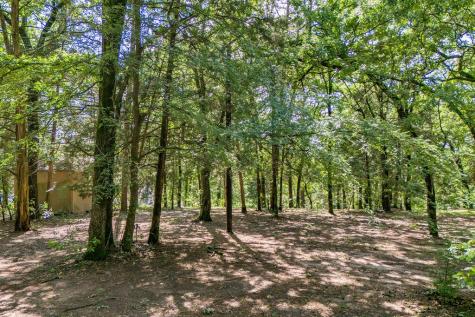 784 Camp Cypress Trail Winnsboro TX 75494