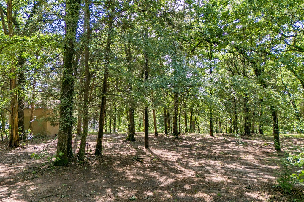 784 Camp Cypress Trail Winnsboro TX 75494