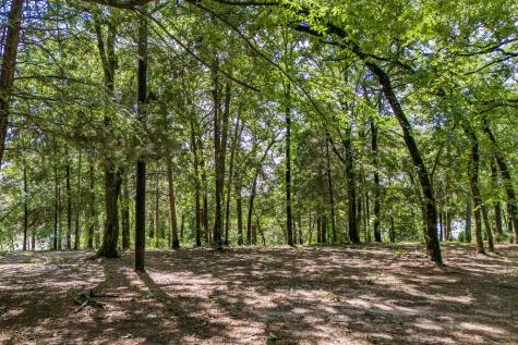 784 Camp Cypress Trail Winnsboro TX 75494