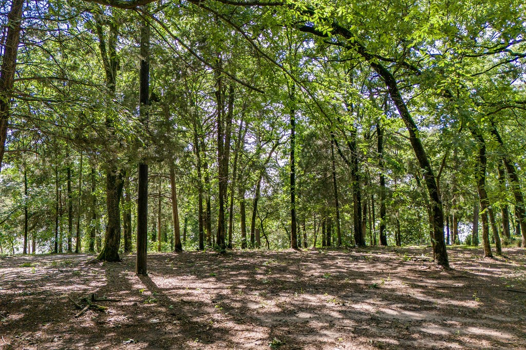 784 Camp Cypress Trail Winnsboro TX 75494