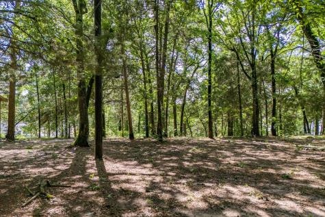 784 Camp Cypress Trail Winnsboro TX 75494