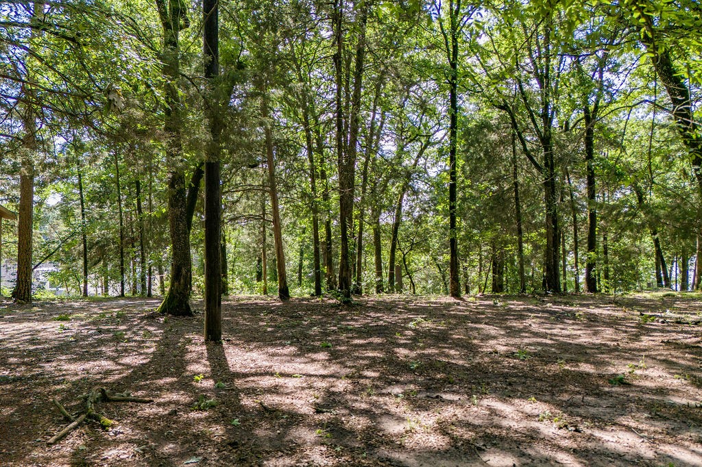 784 Camp Cypress Trail Winnsboro TX 75494