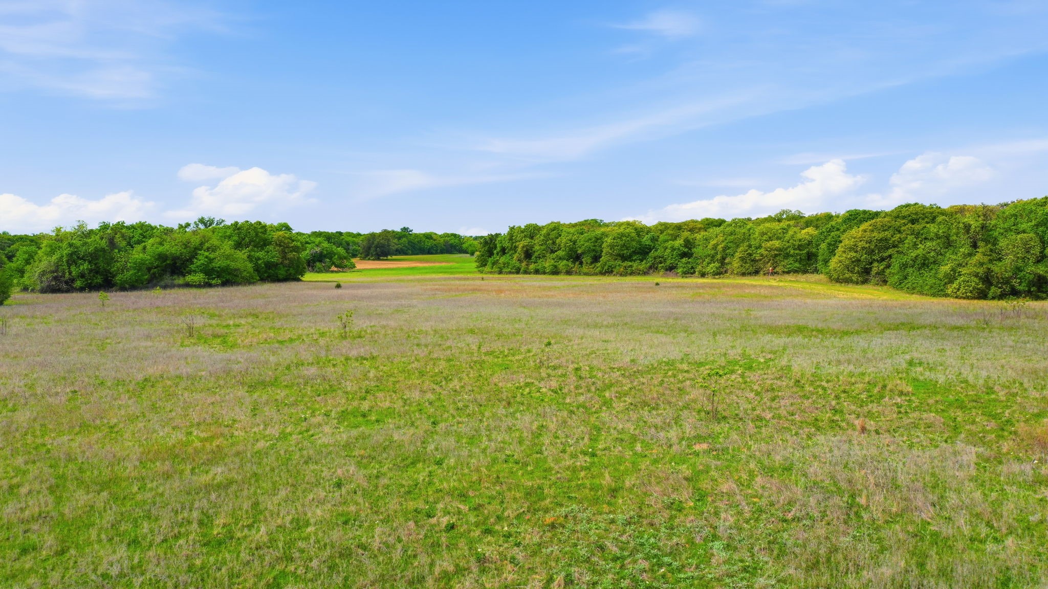 Tbd W White Dove Street Azle TX 76020