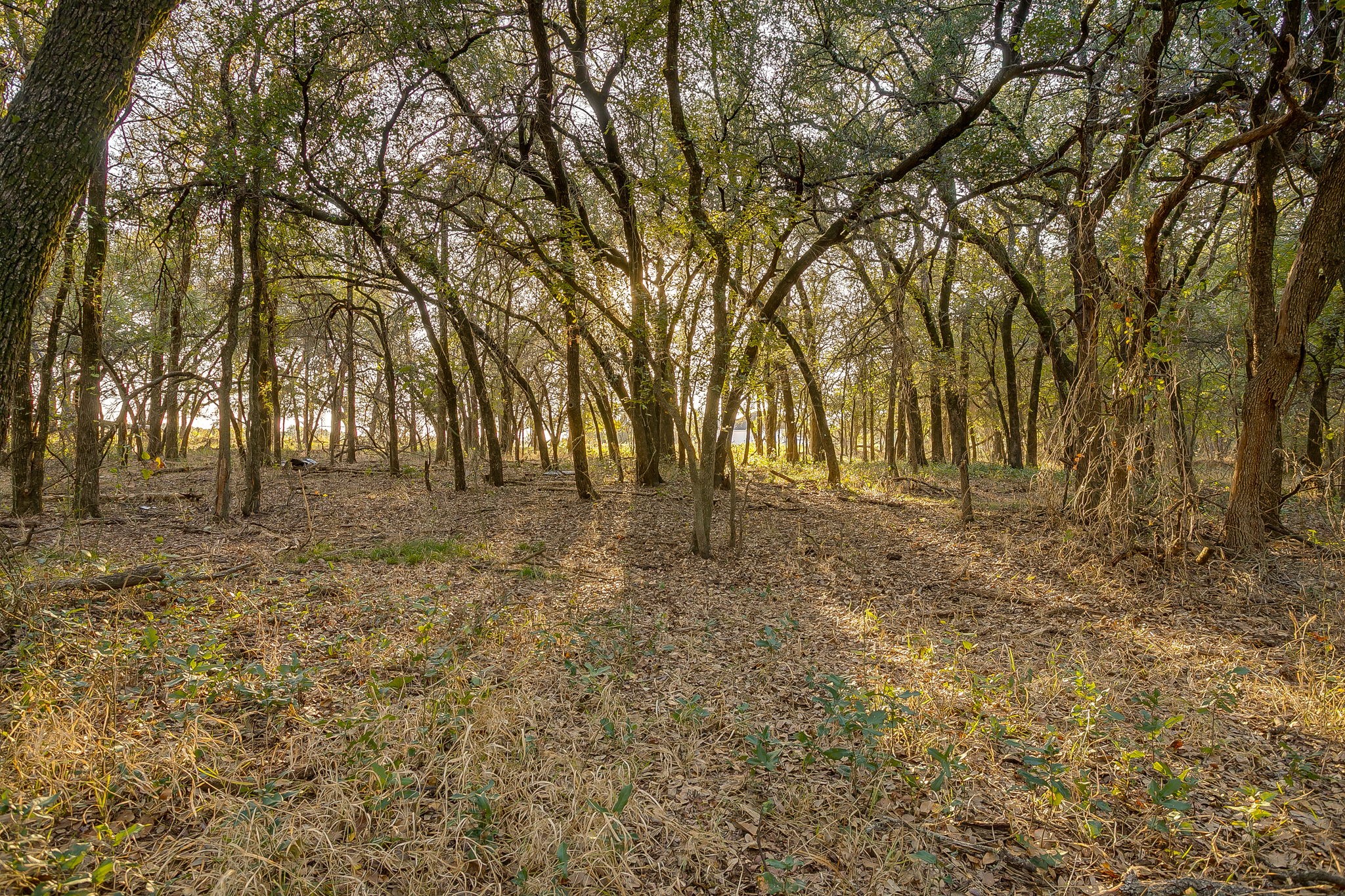 Lot 39 River Canyon Mineral Wells TX 76484