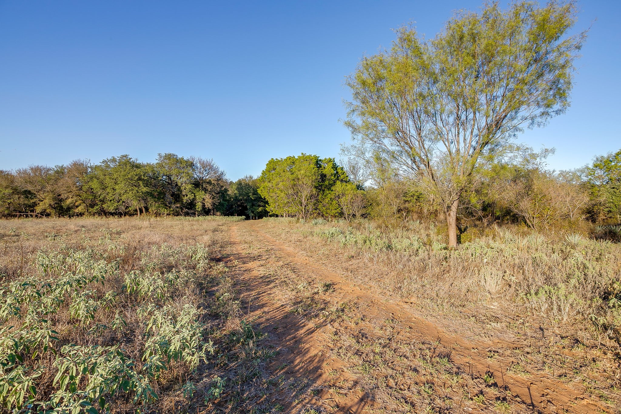 Lot 39 River Canyon Mineral Wells TX 76484