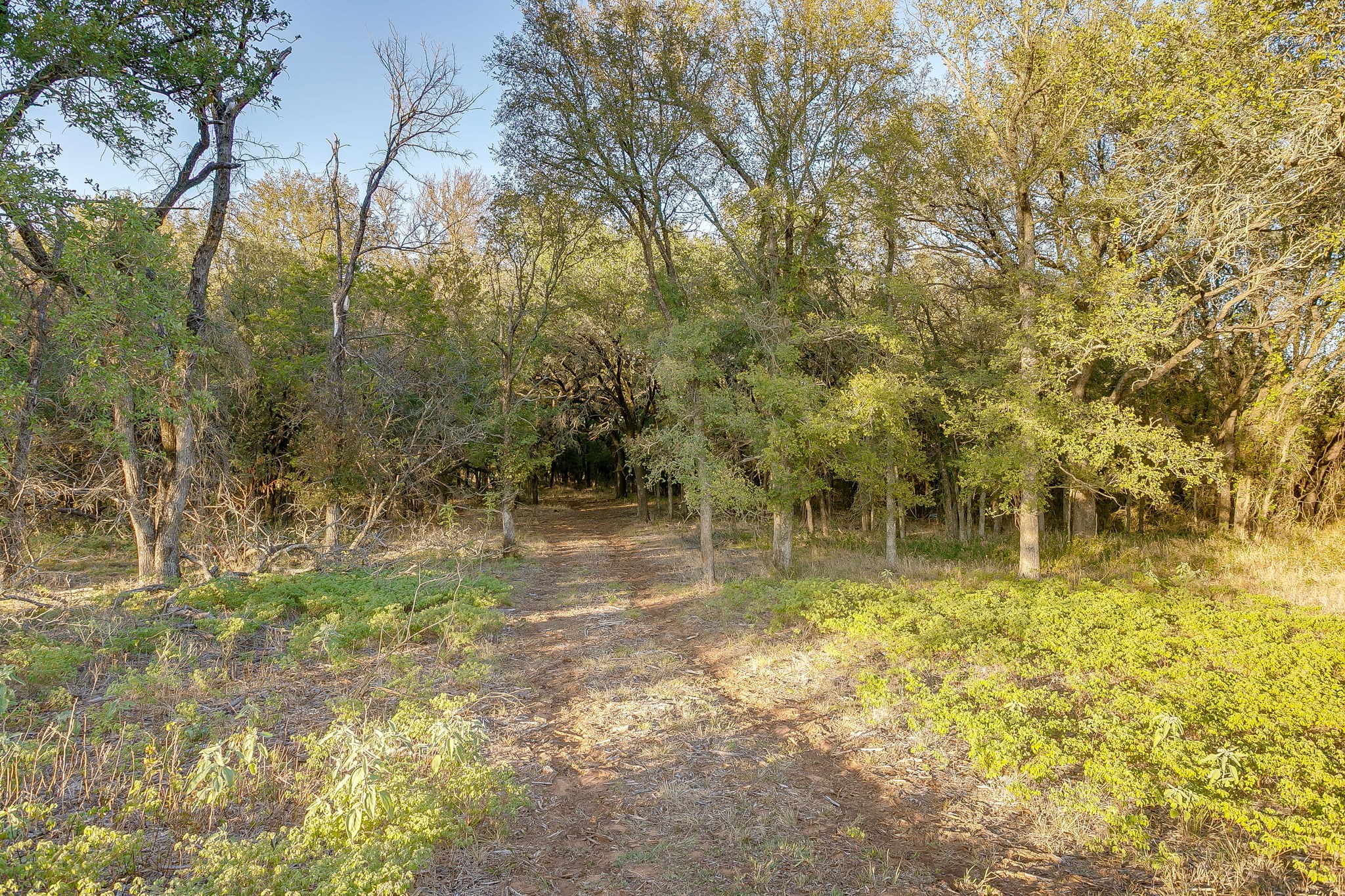 Lot 39 River Canyon Mineral Wells TX 76484