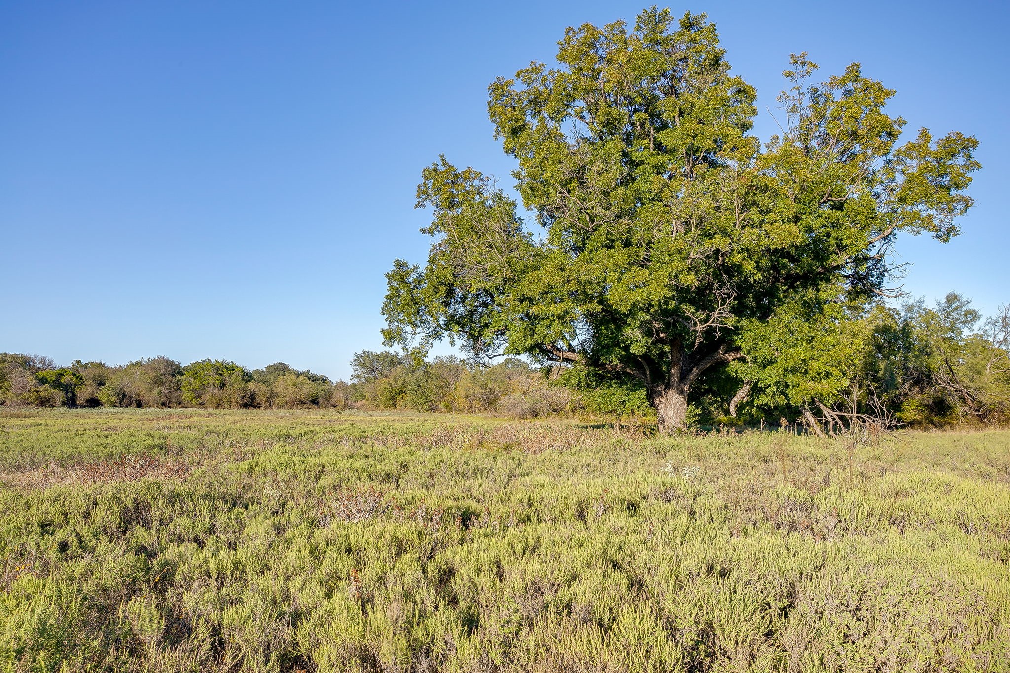 Lot 39 River Canyon Mineral Wells TX 76484