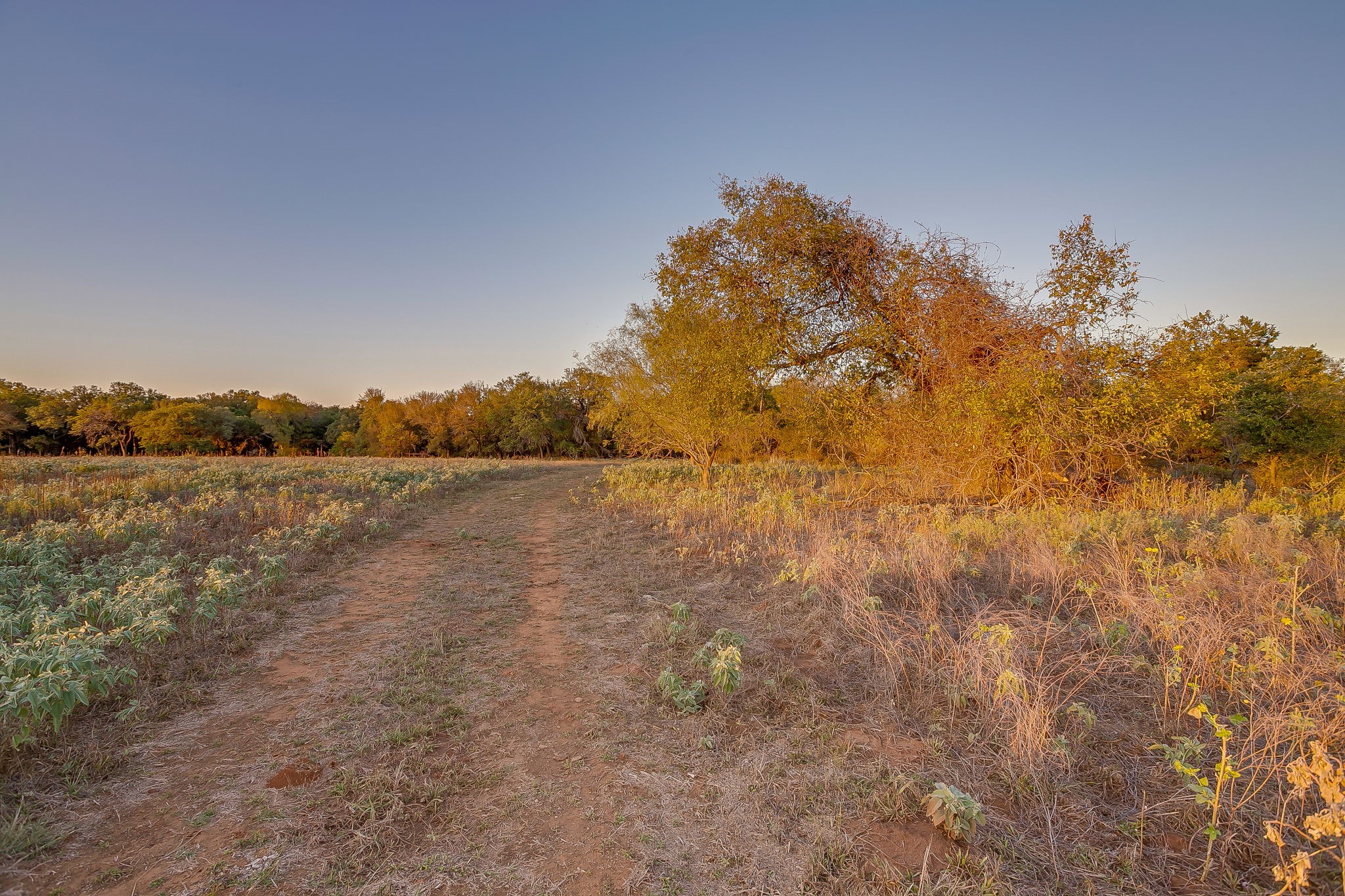 Lot 39 River Canyon Mineral Wells TX 76484