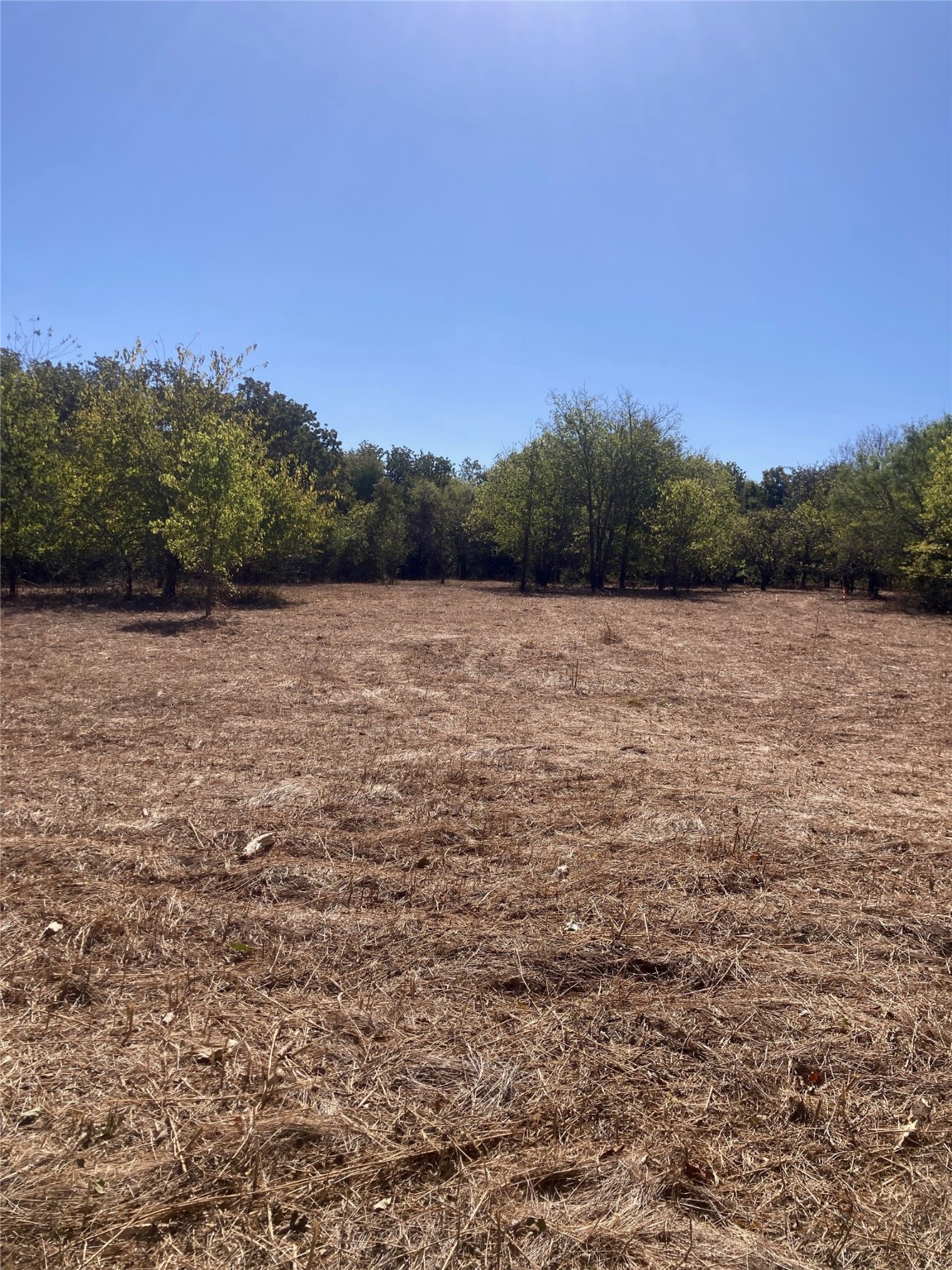 1615 Cr 429 Cleburne TX 76033