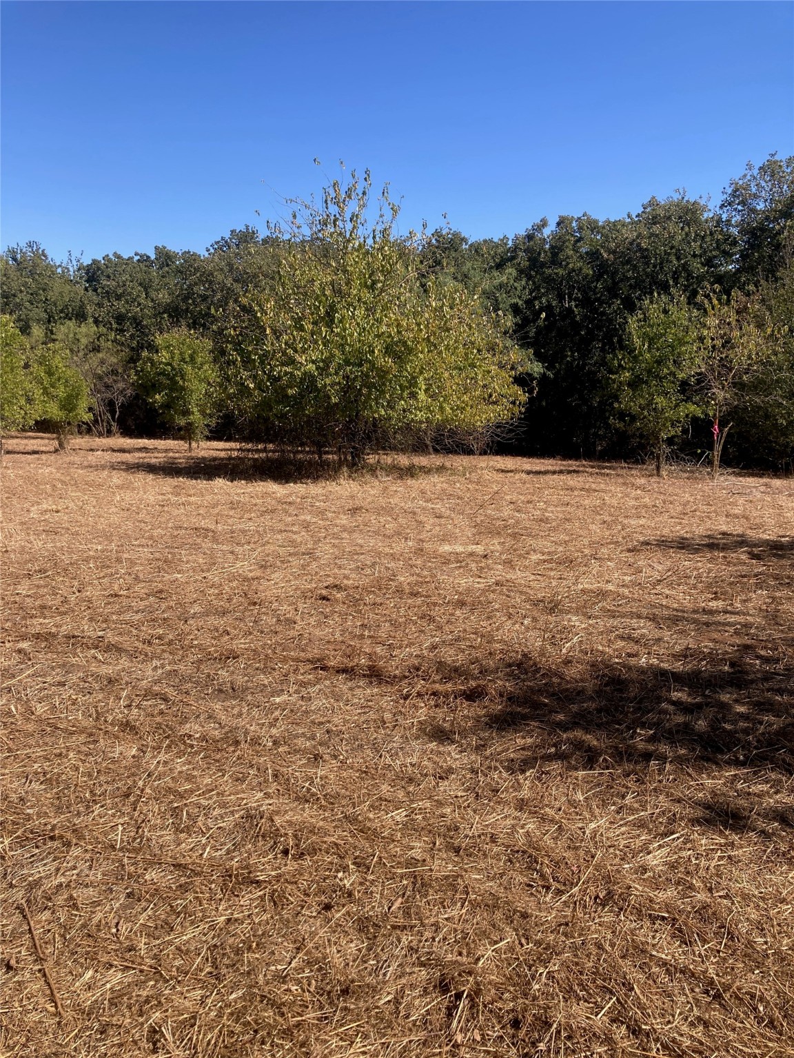1615 Cr 429 Cleburne TX 76033