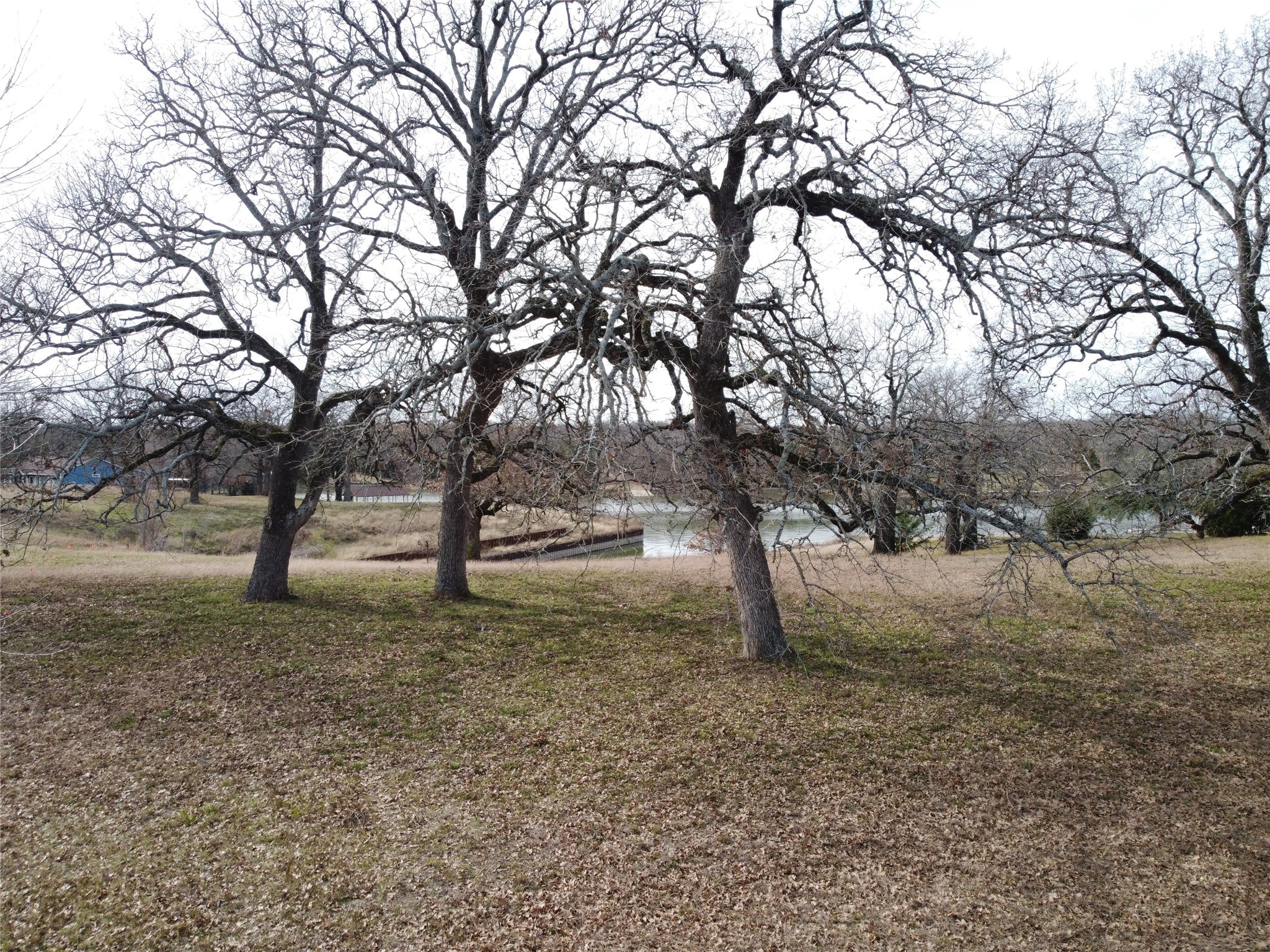 14022 Whatley Drive Streetman TX 75859
