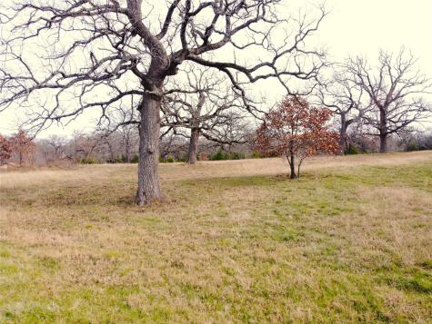 14022 Whatley Drive Streetman TX 75859