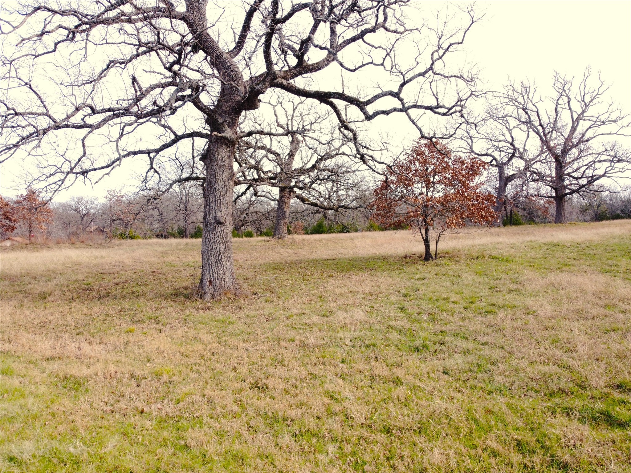 14022 Whatley Drive Streetman TX 75859
