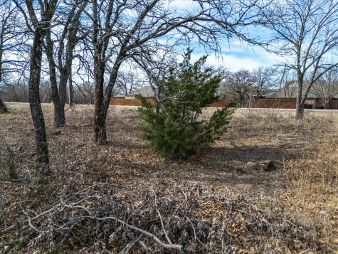 Lot 59 Tbd Cimmarron Bay Drive Runaway Bay TX 76426