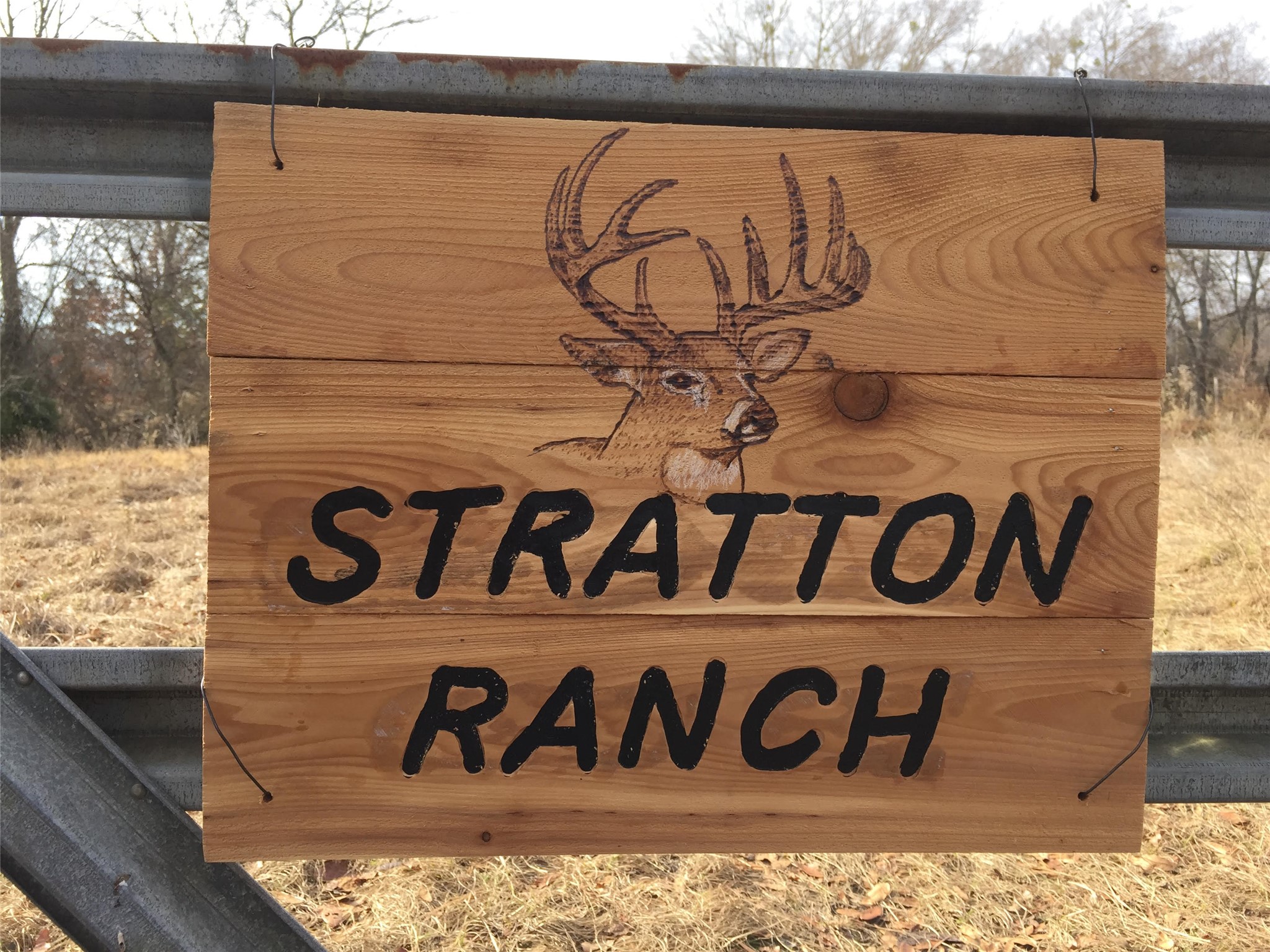 Tbd County Road 3543 Saltillo TX 75457