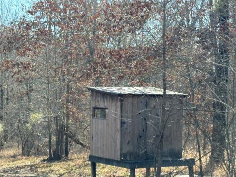 TBD County Road 3543 Saltillo TX 75457