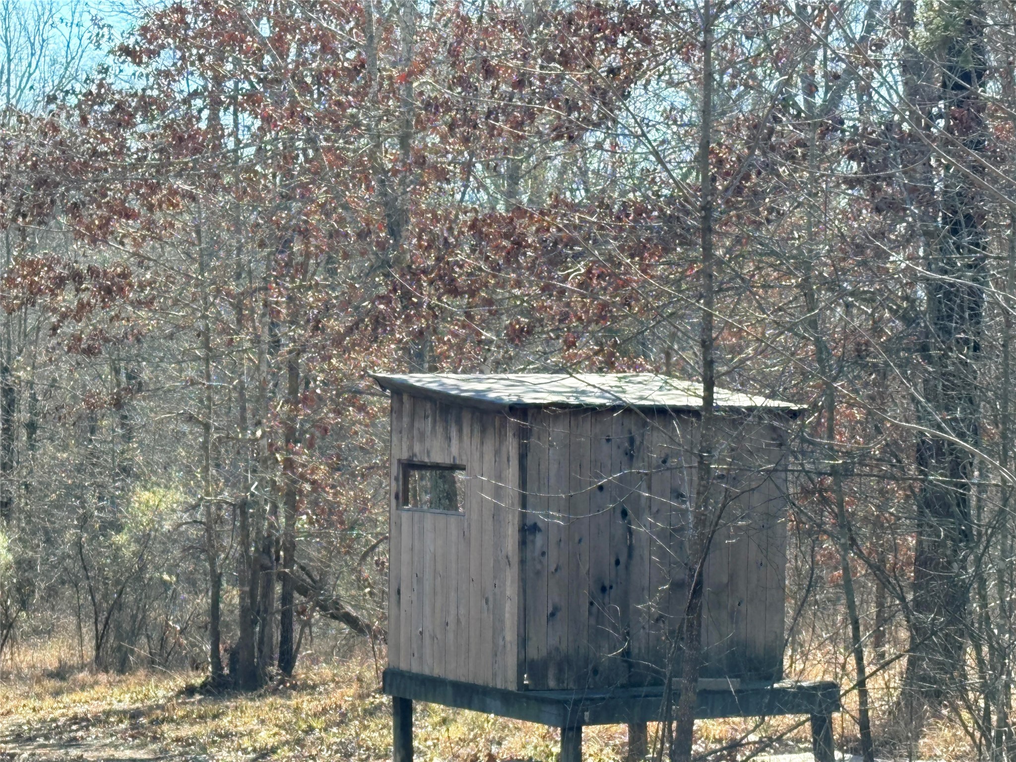 Tbd County Road 3543 Saltillo TX 75457
