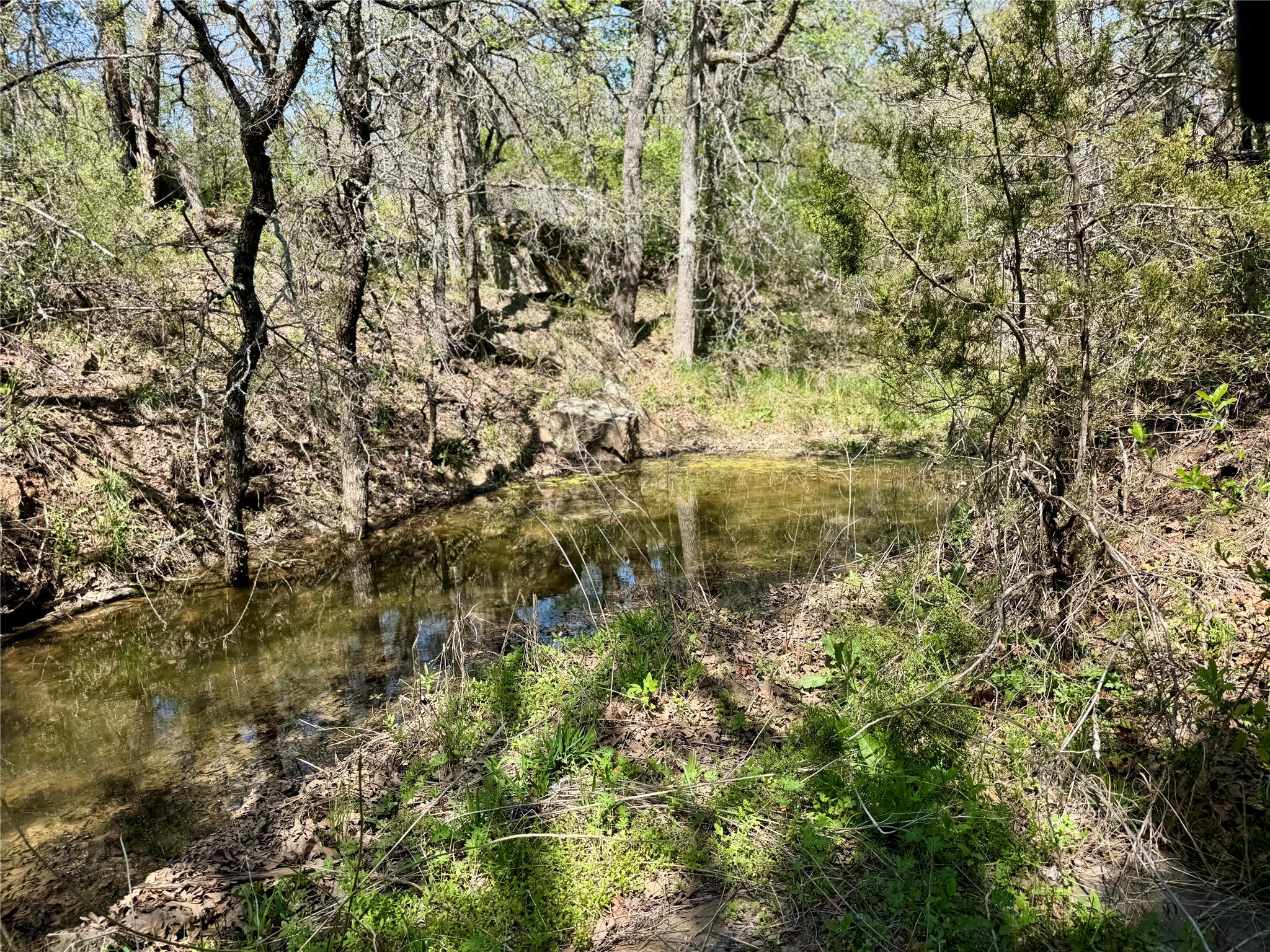 Tbd Fm 1885 Perrin TX 76486