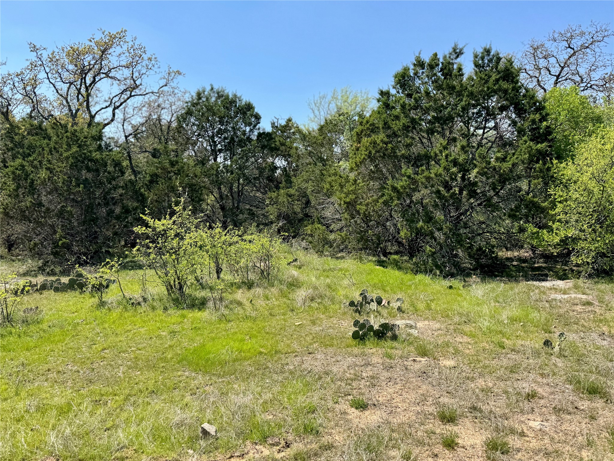 Tbd Fm 1885 Perrin TX 76486