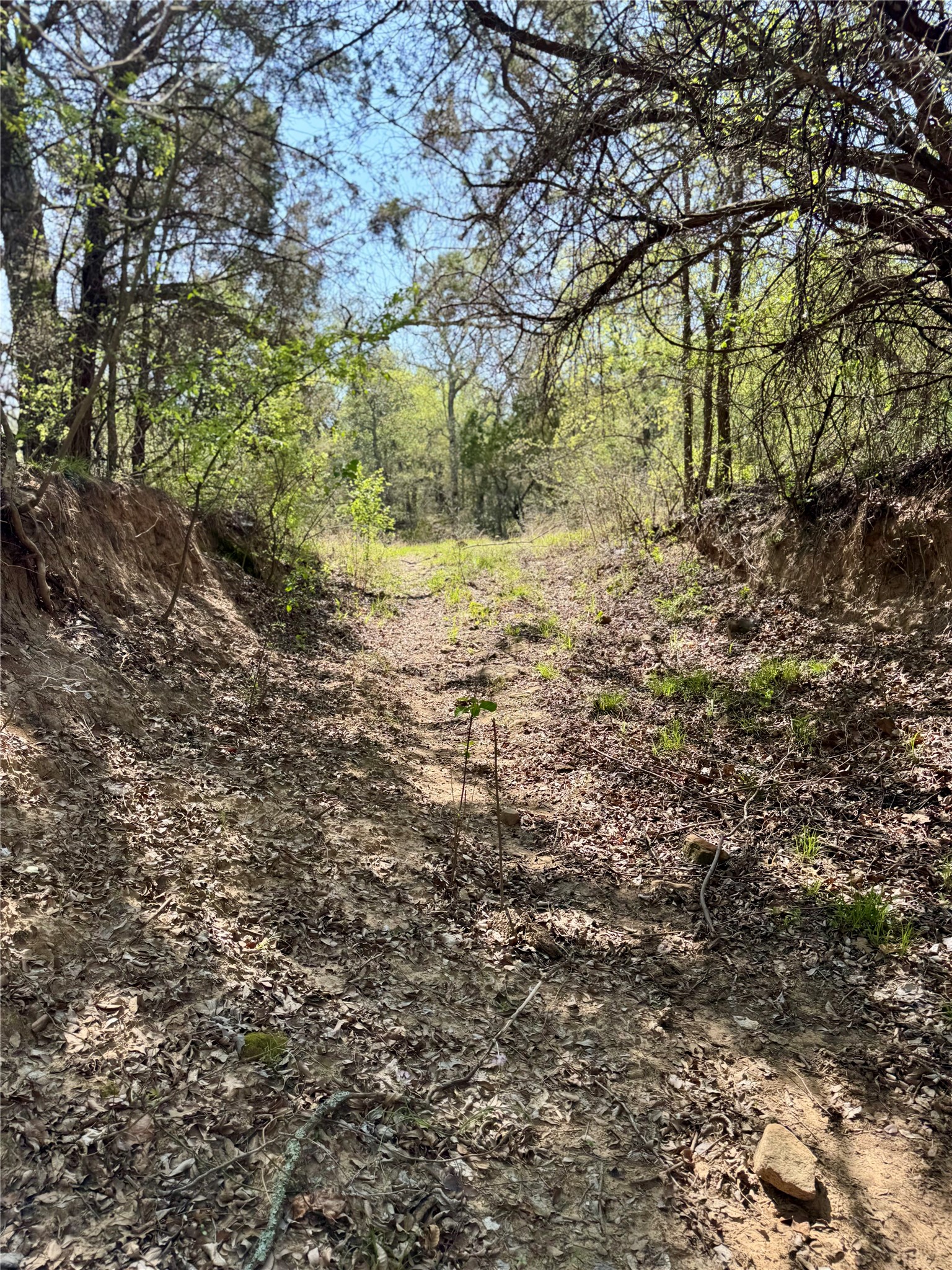 Tbd Fm 1885 Perrin TX 76486