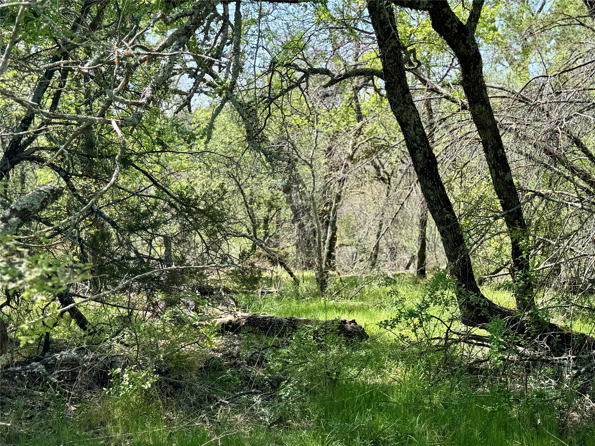 Tbd Fm 1885 Perrin TX 76486