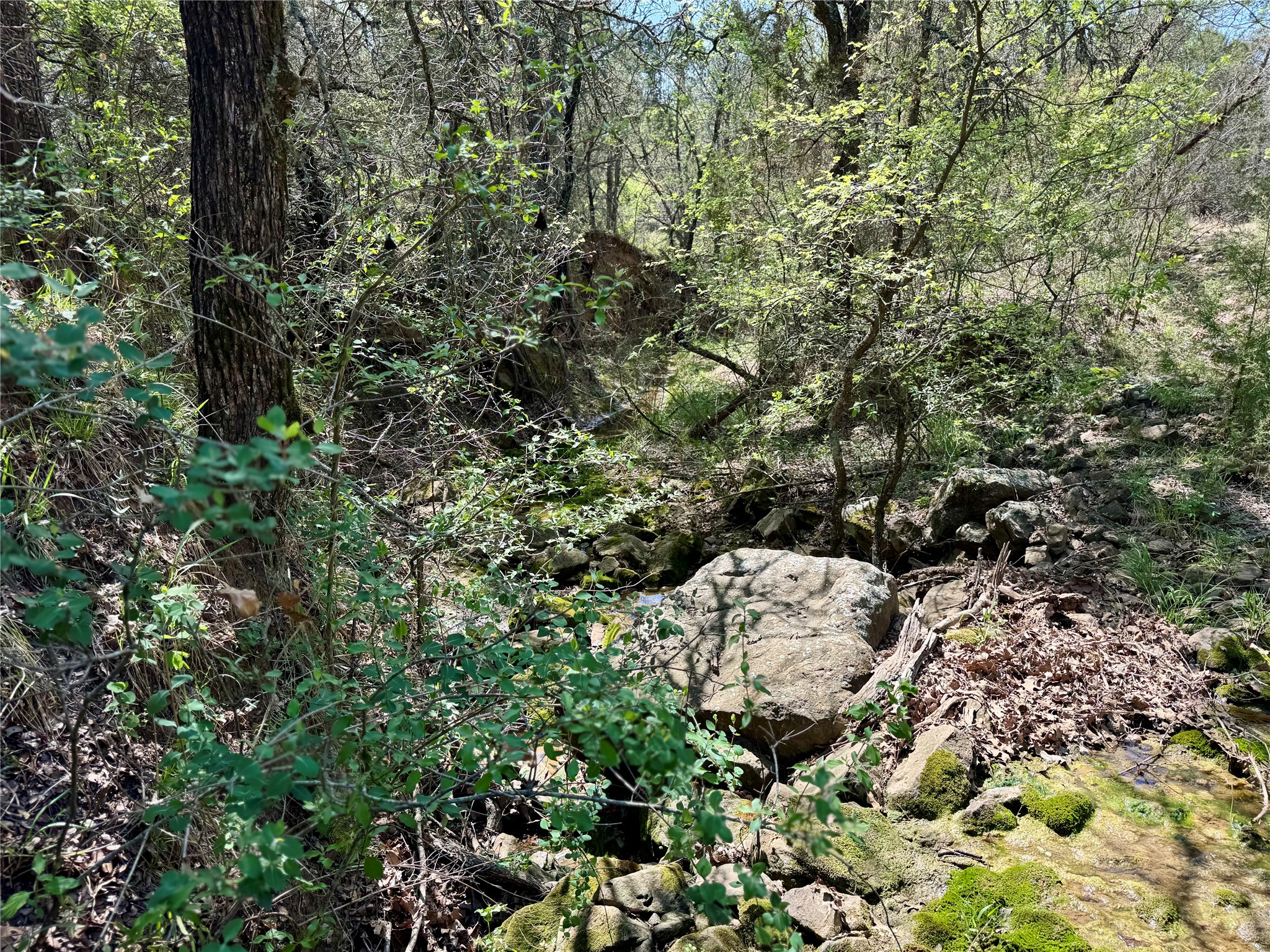 Tbd Fm 1885 Perrin TX 76486