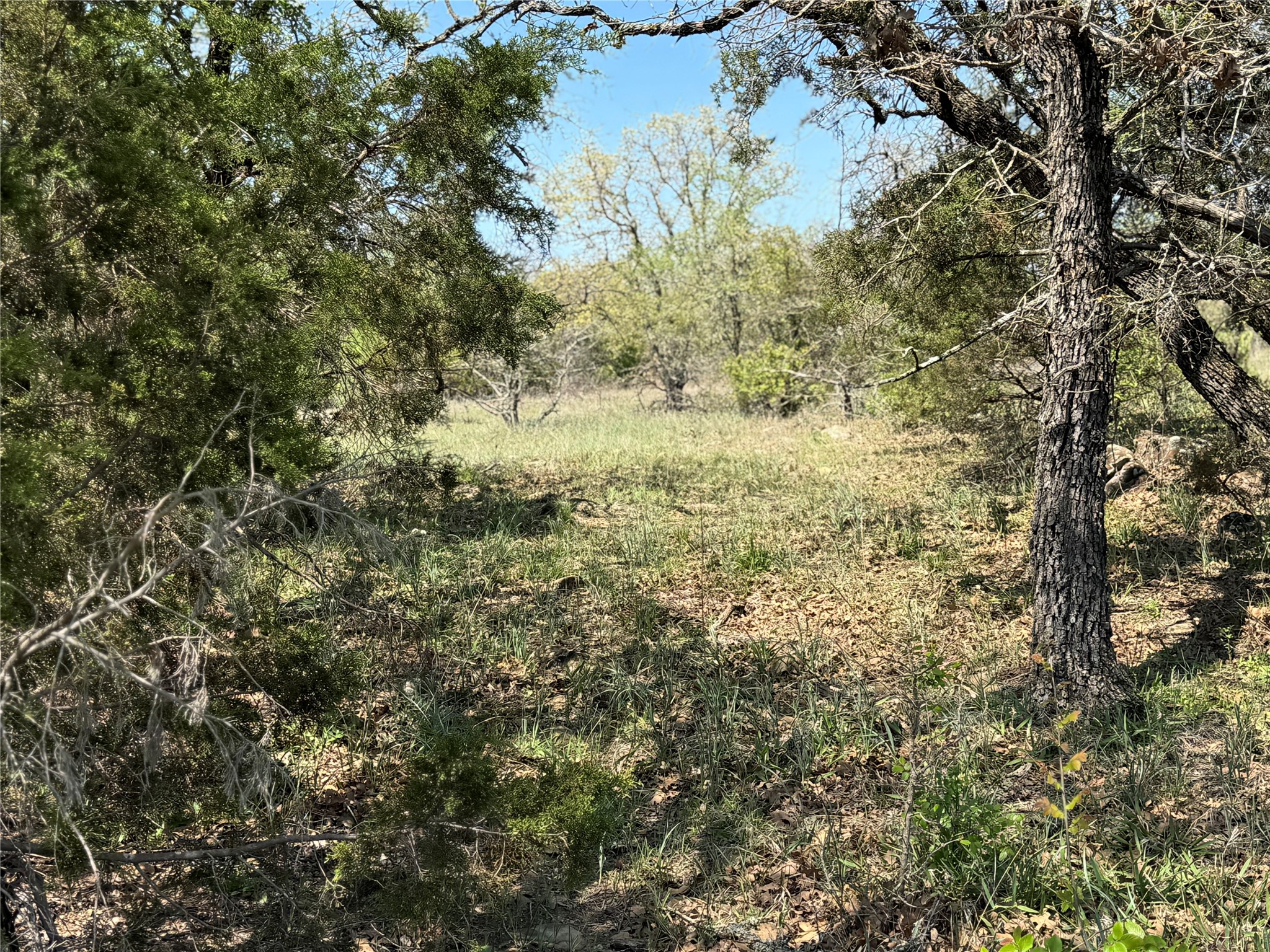 Tbd Fm 1885 Perrin TX 76486