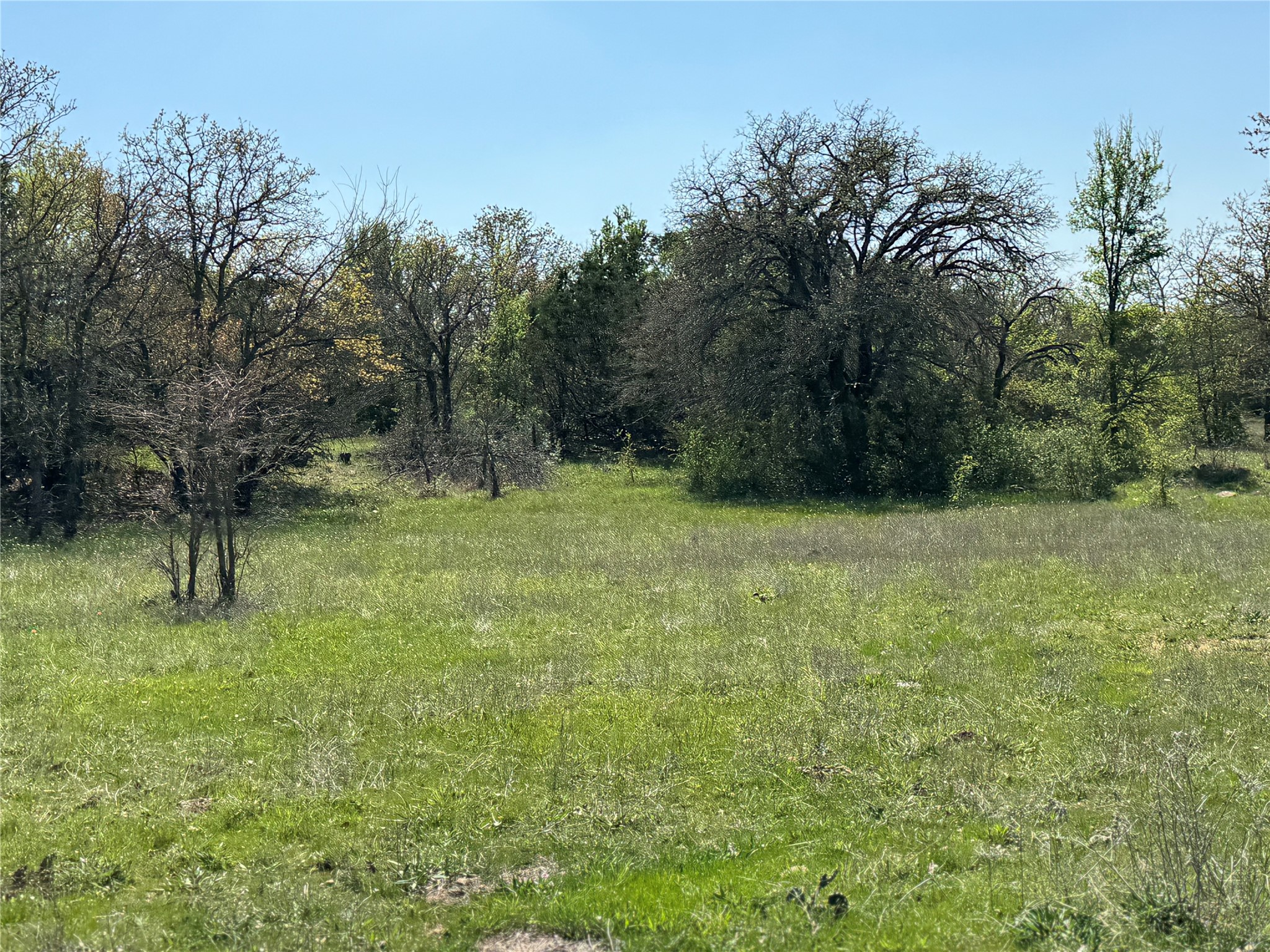 Tbd Fm 1885 Perrin TX 76486