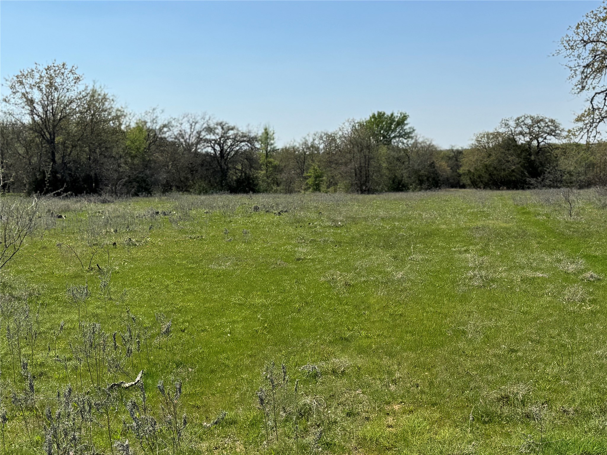 Tbd Fm 1885 Perrin TX 76486