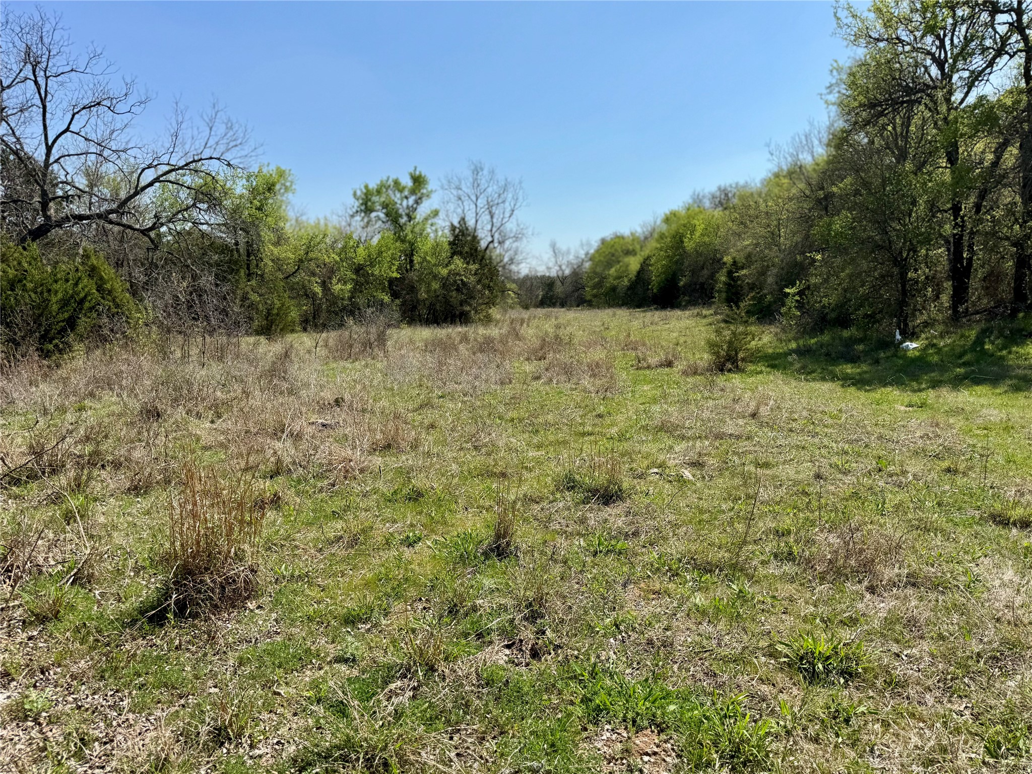 Tbd Fm 1885 Perrin TX 76486