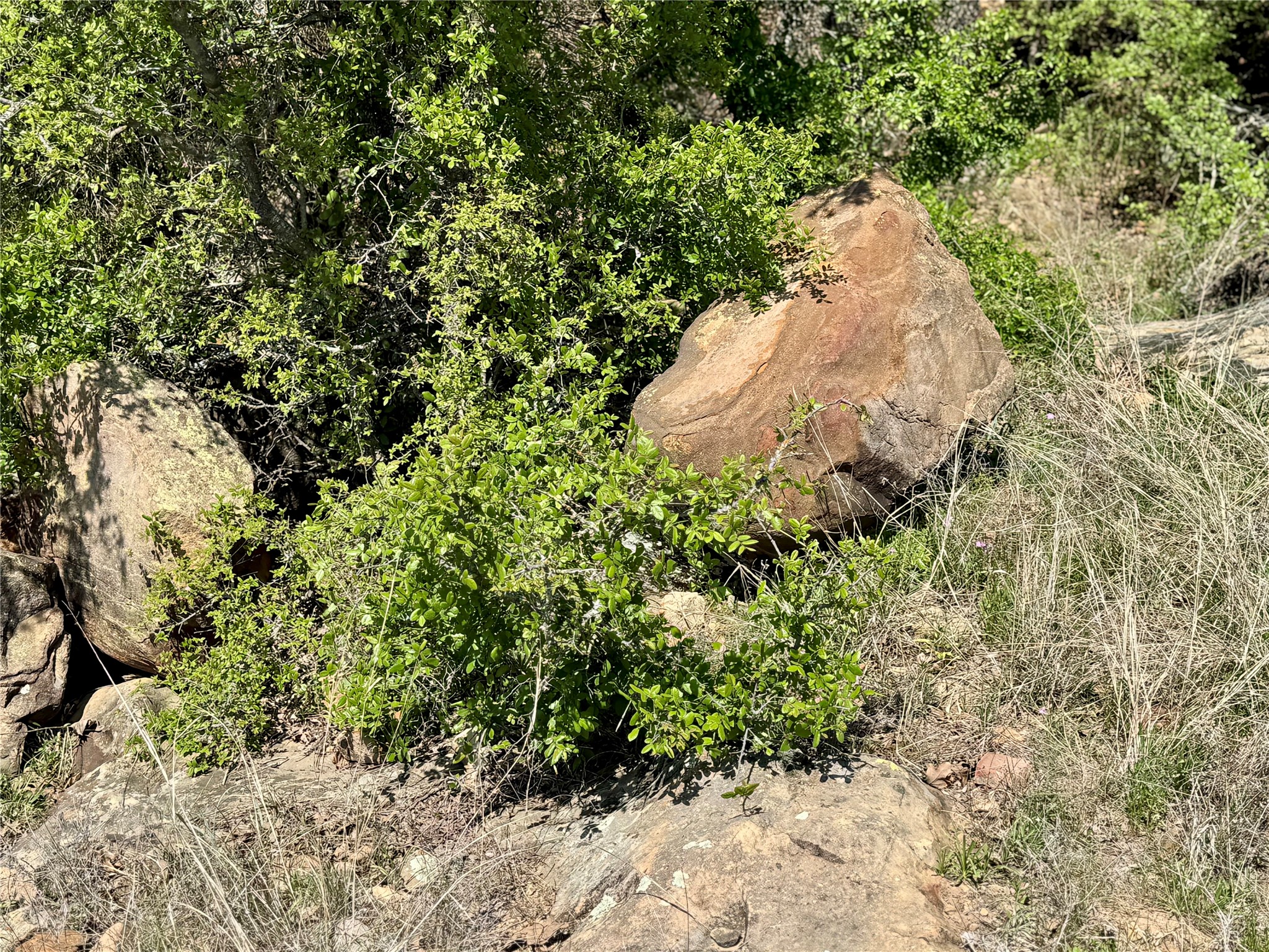 Tbd Fm 1885 Perrin TX 76486