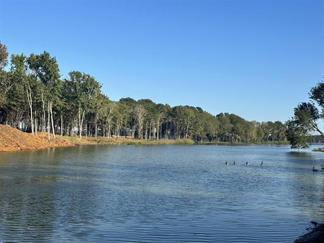 Lot 43 Oak River Frankston TX 75763