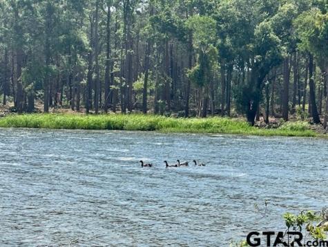 Lot 43 Oak River Frankston TX 75763