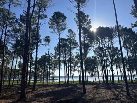 Lot 43 Oak River Frankston TX 75763