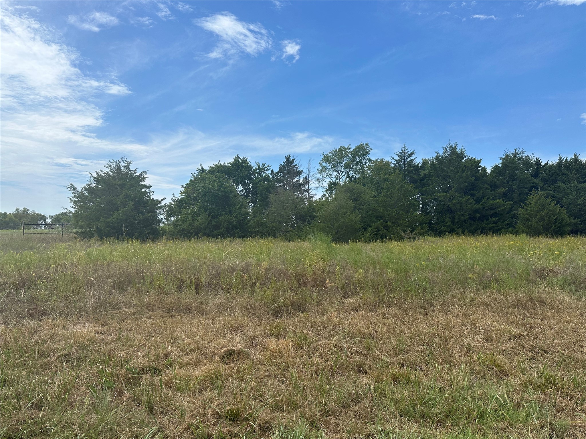 Tbd State Highway 56 Bells TX 75414