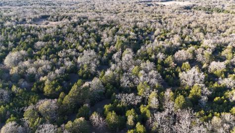 TBD County Road 442 Teague TX 75860
