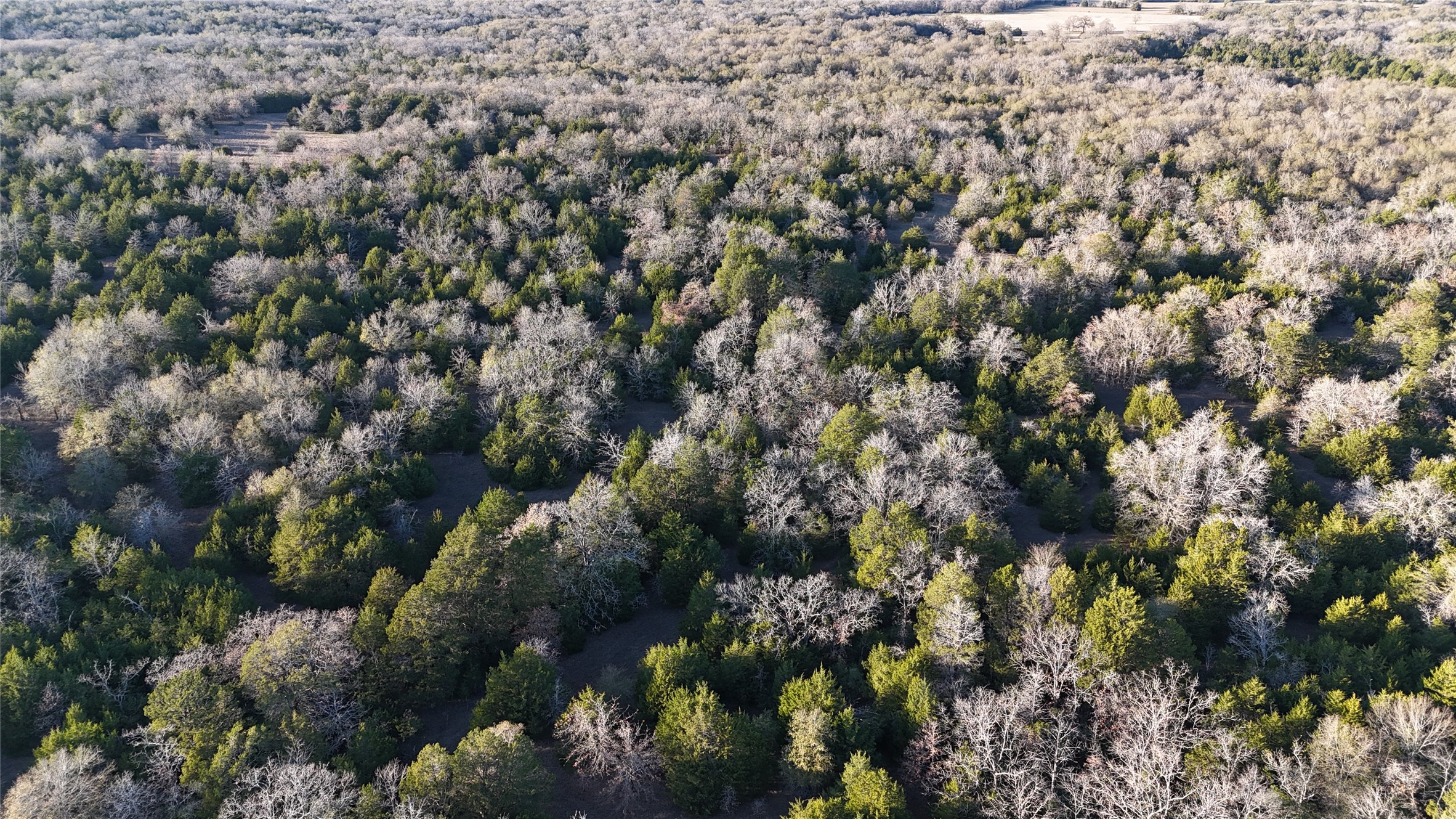 Tbd County Road 442 Teague TX 75860