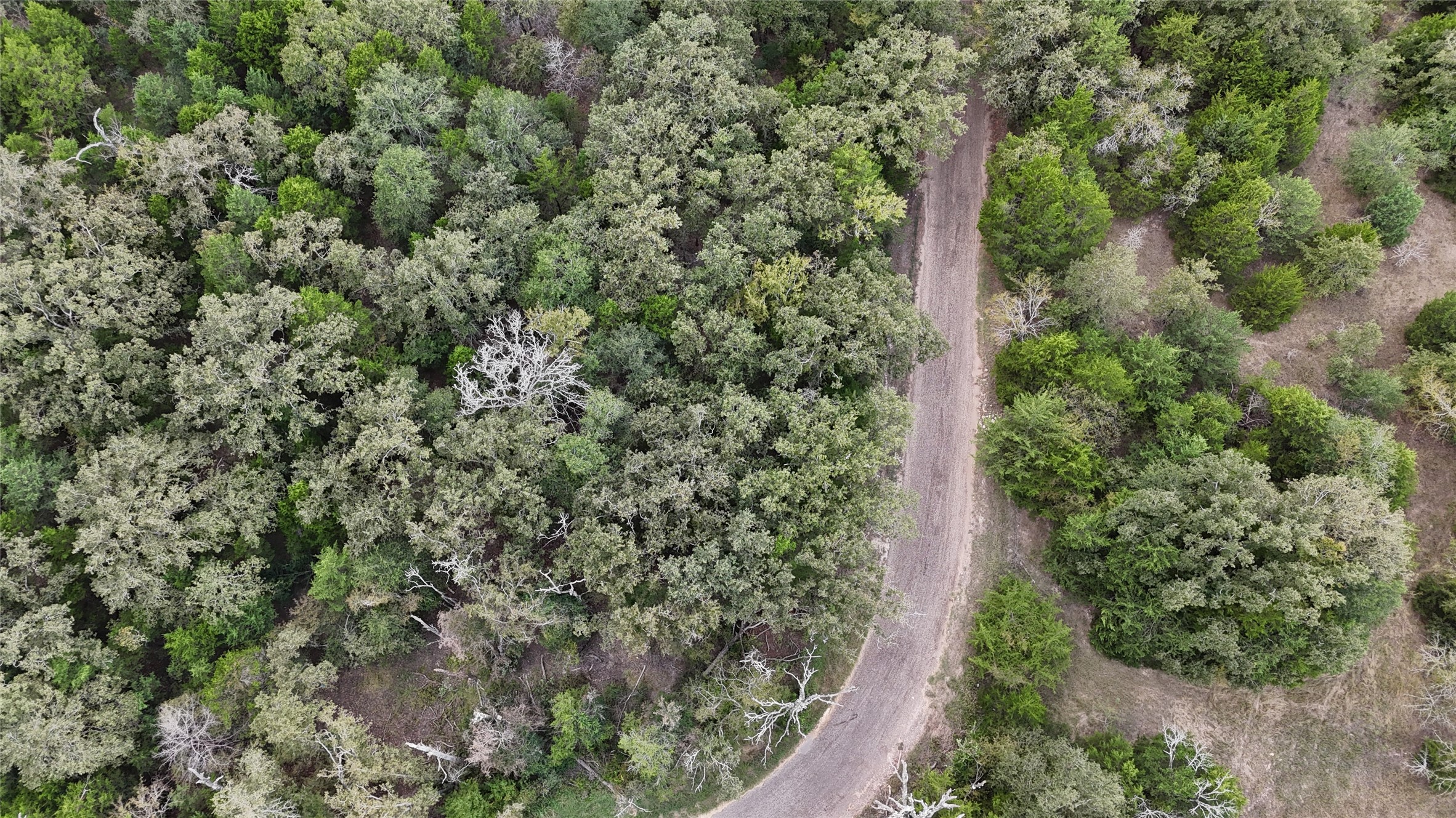 Tbd County Road 442 Teague TX 75860