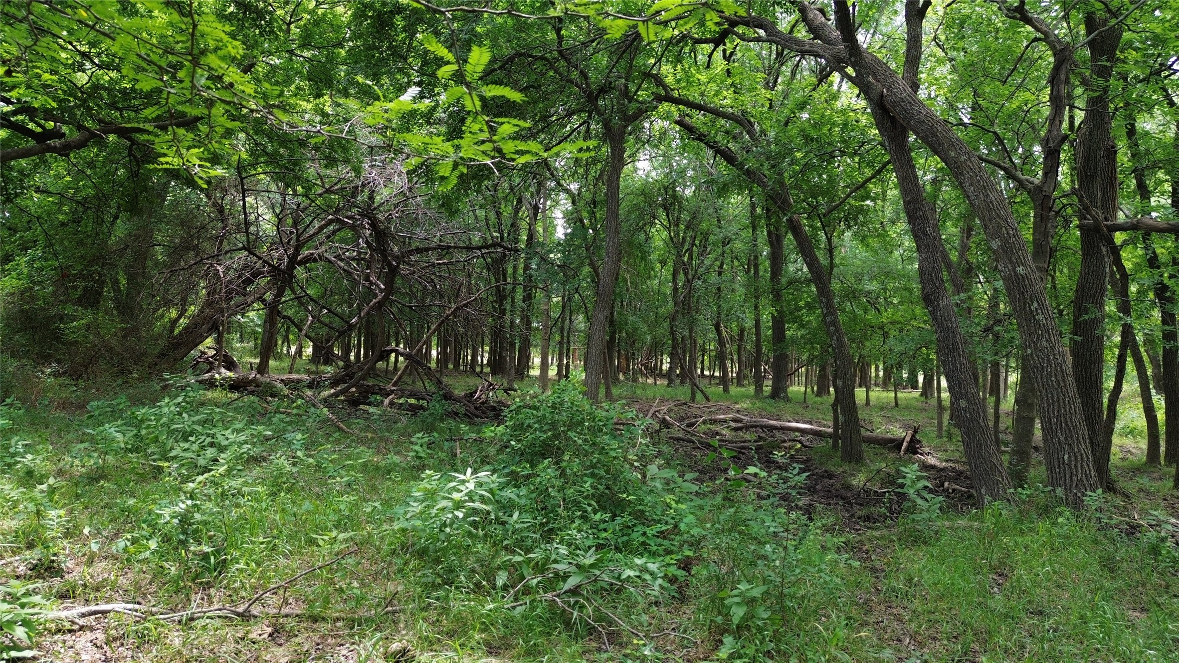 Tbd N County Road 3110 Hillsboro TX 76645