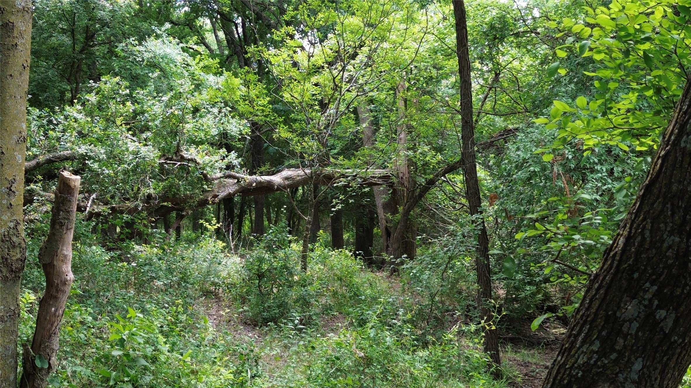 Tbd N County Road 3110 Hillsboro TX 76645