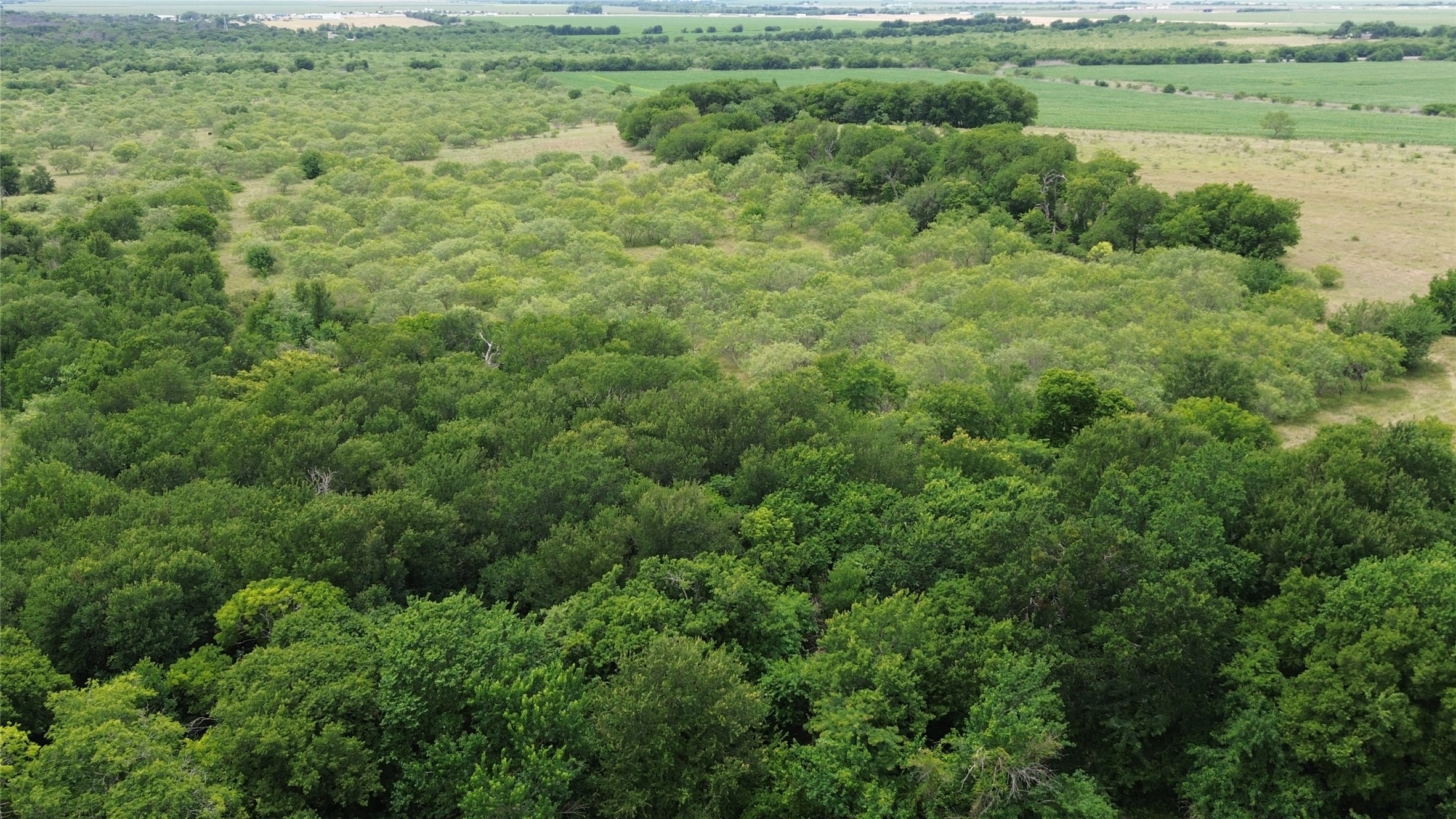 Tbd N County Road 3110 Hillsboro TX 76645