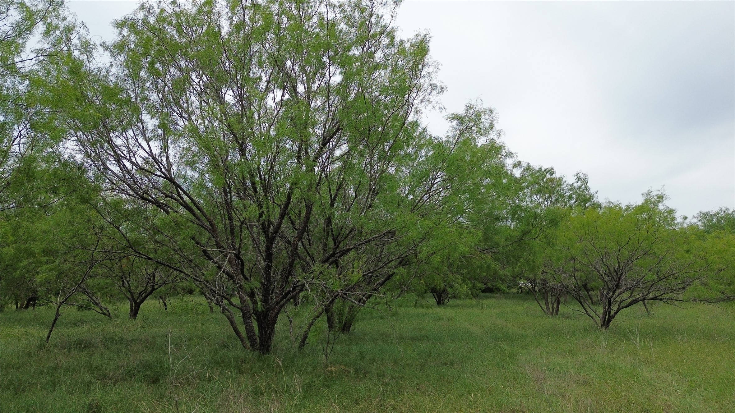 Tbd N County Road 3110 Hillsboro TX 76645