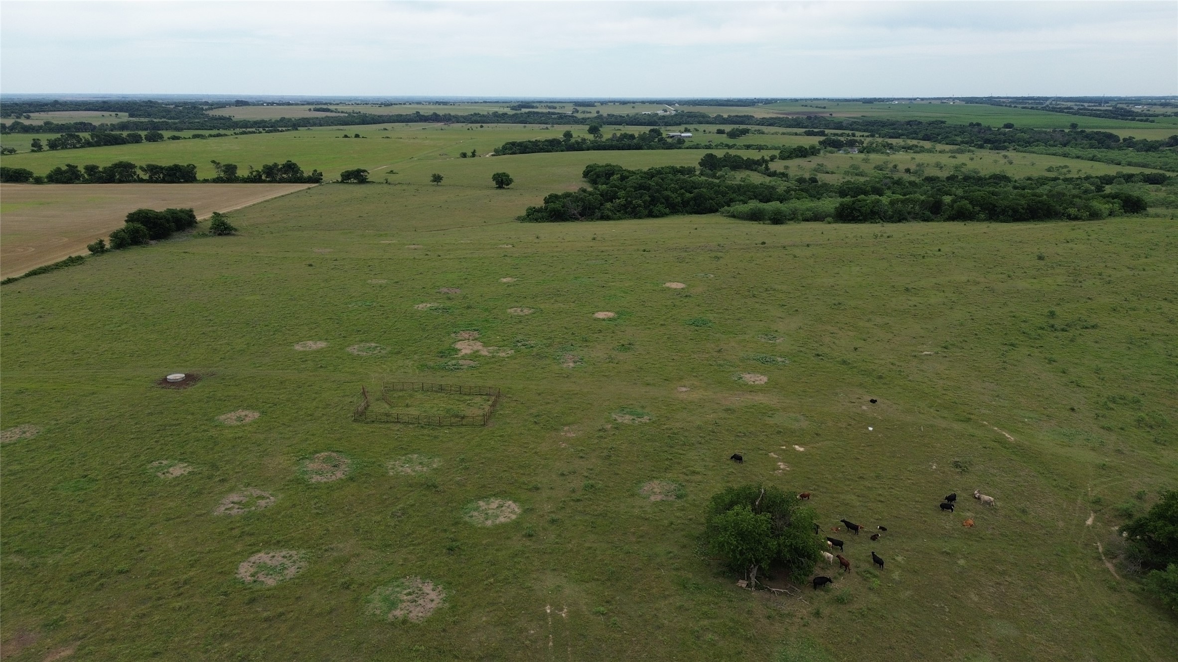 Tbd N County Road 3110 Hillsboro TX 76645