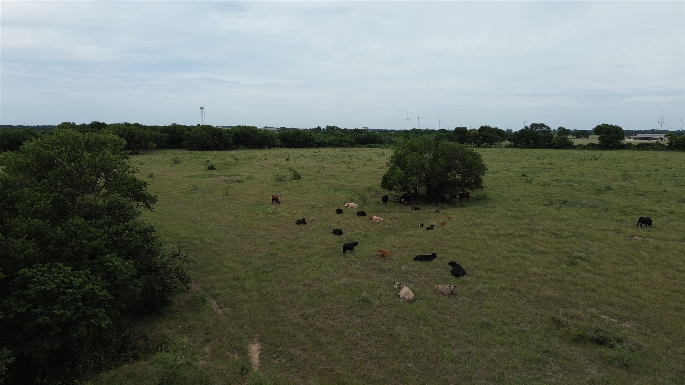 Tbd N County Road 3110 Hillsboro TX 76645
