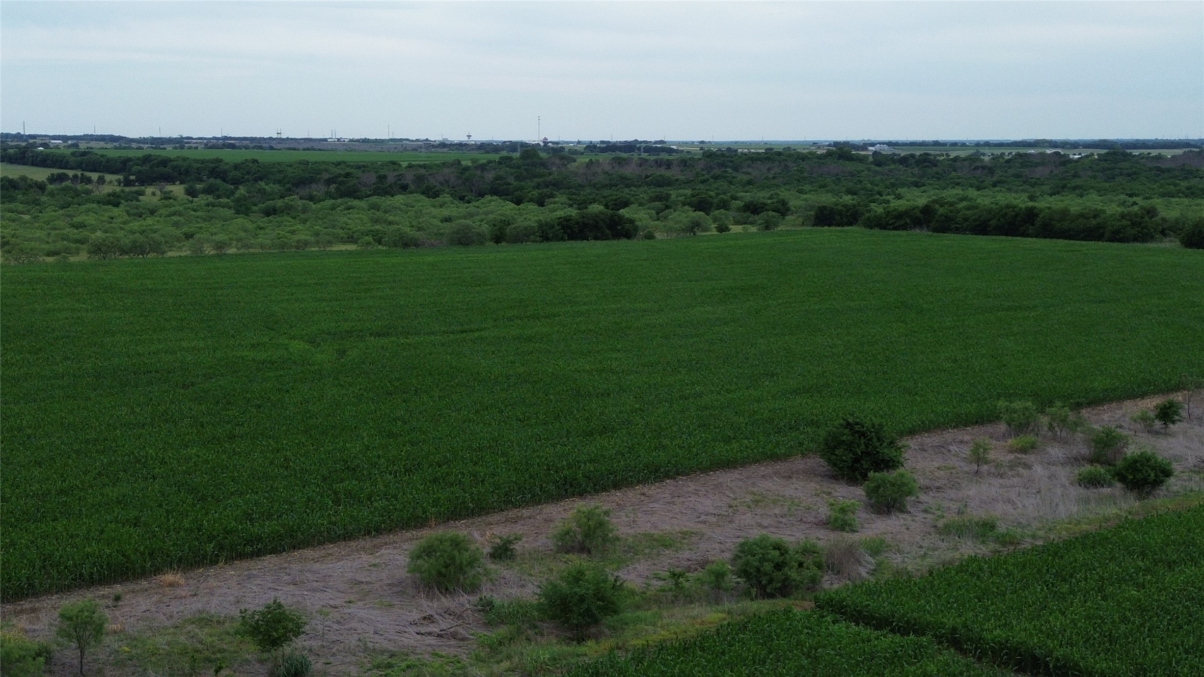 Tbd N County Road 3110 Hillsboro TX 76645