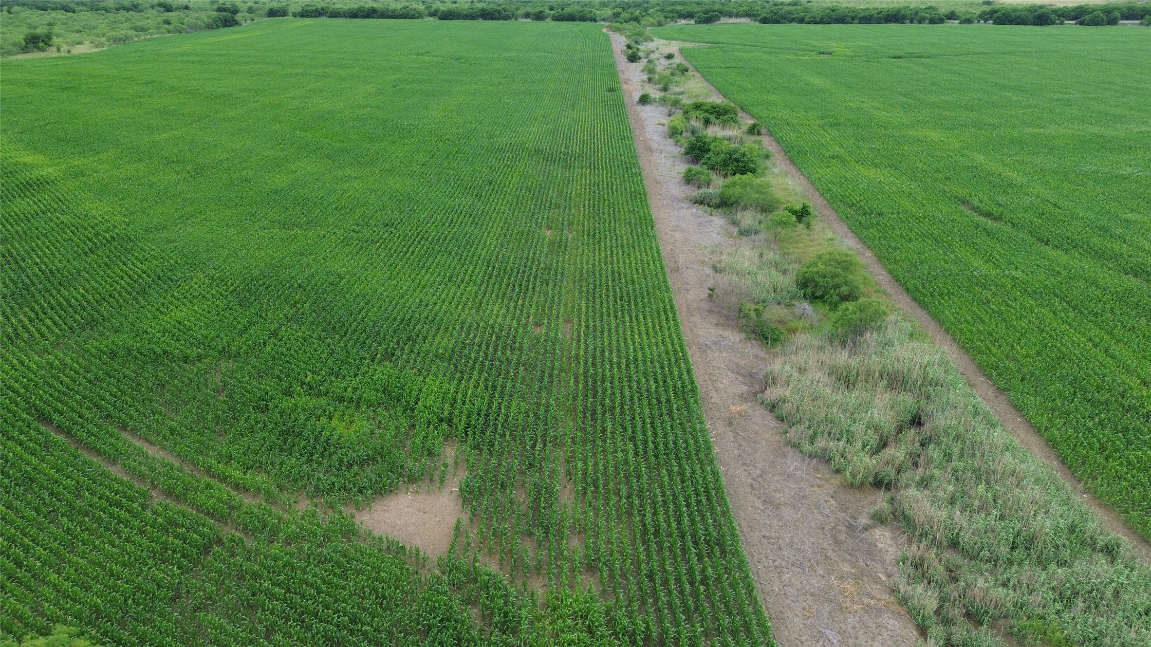 Tbd N County Road 3110 Hillsboro TX 76645