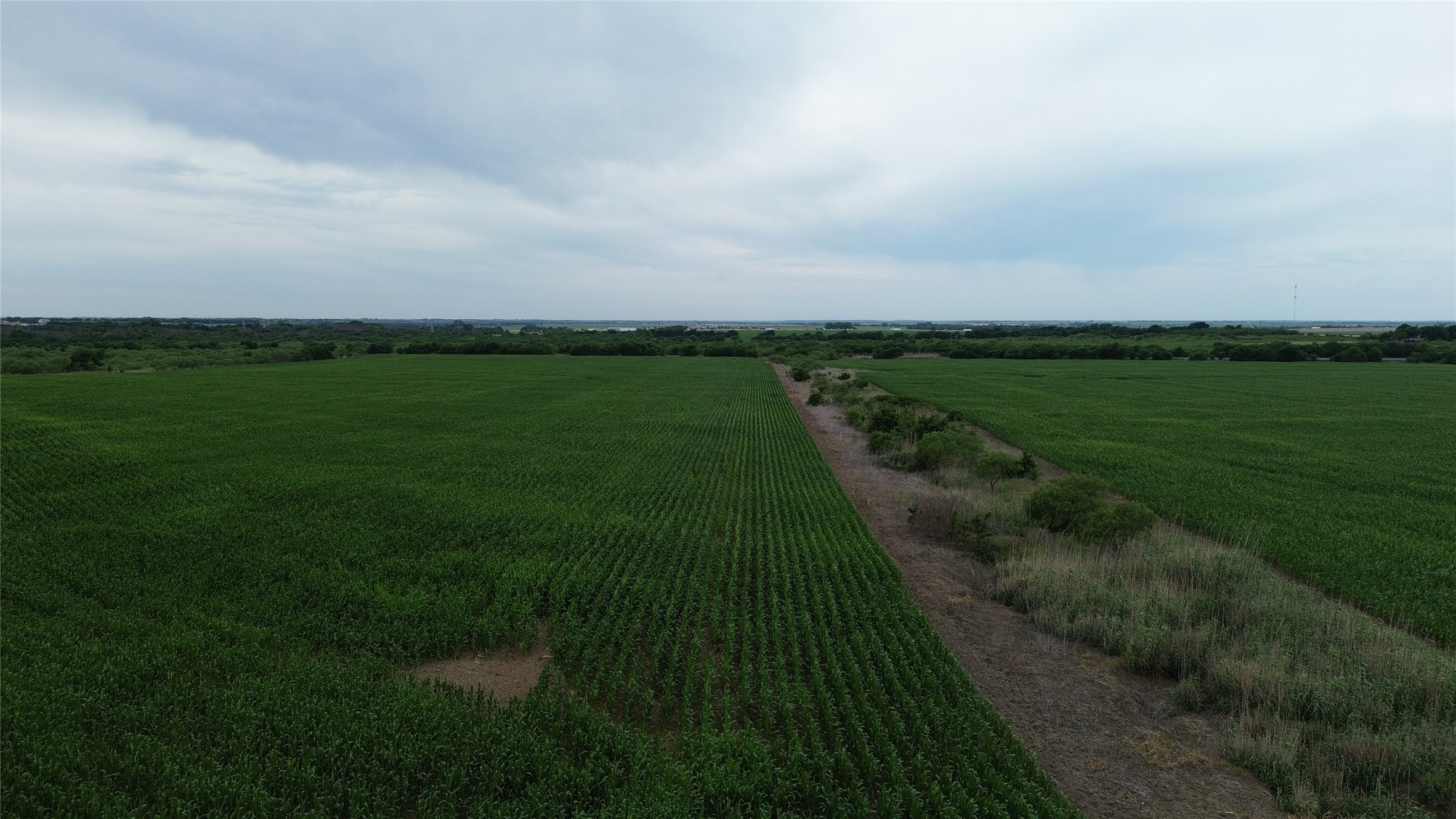 Tbd N County Road 3110 Hillsboro TX 76645