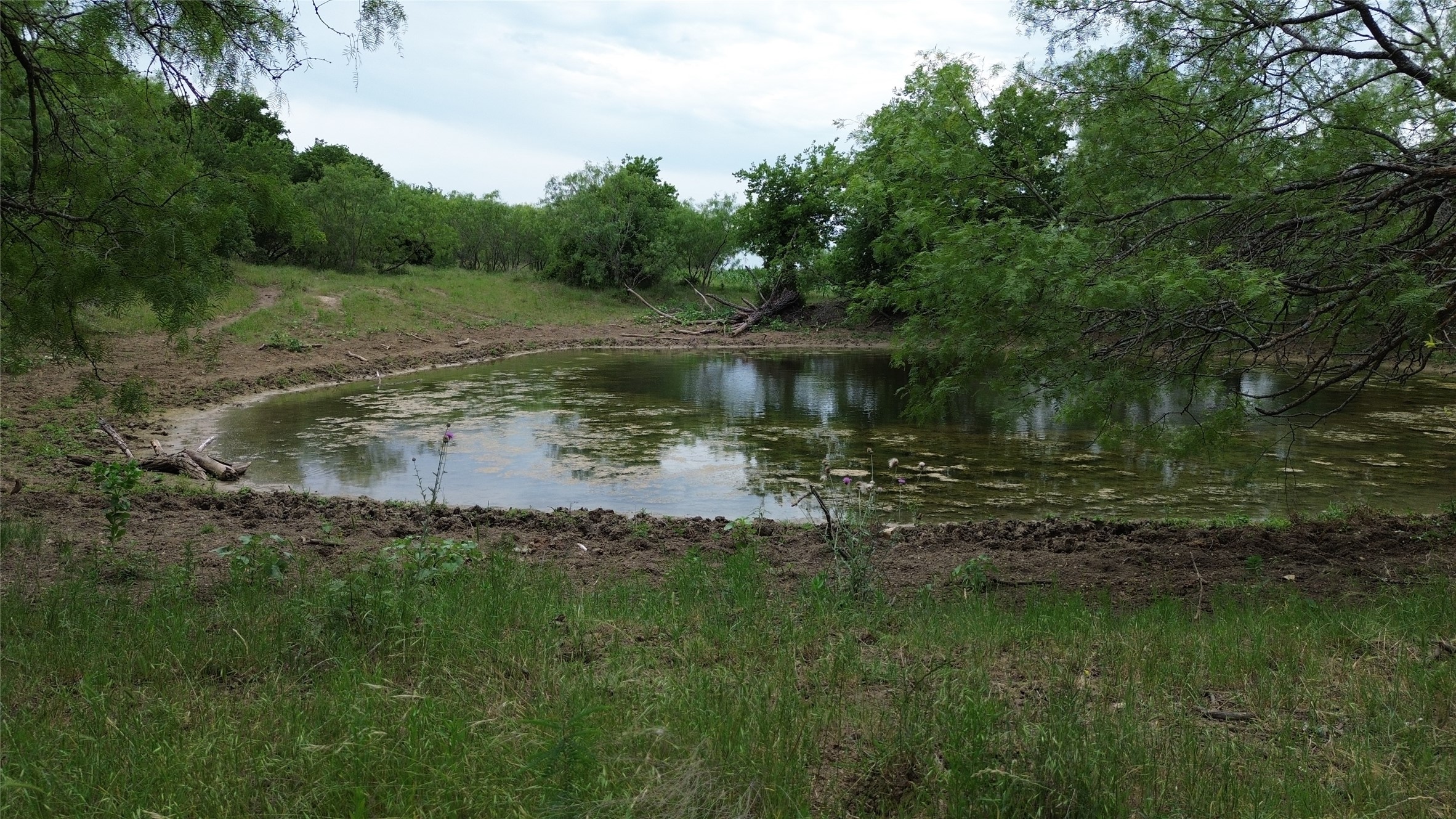 Tbd N County Road 3110 Hillsboro TX 76645