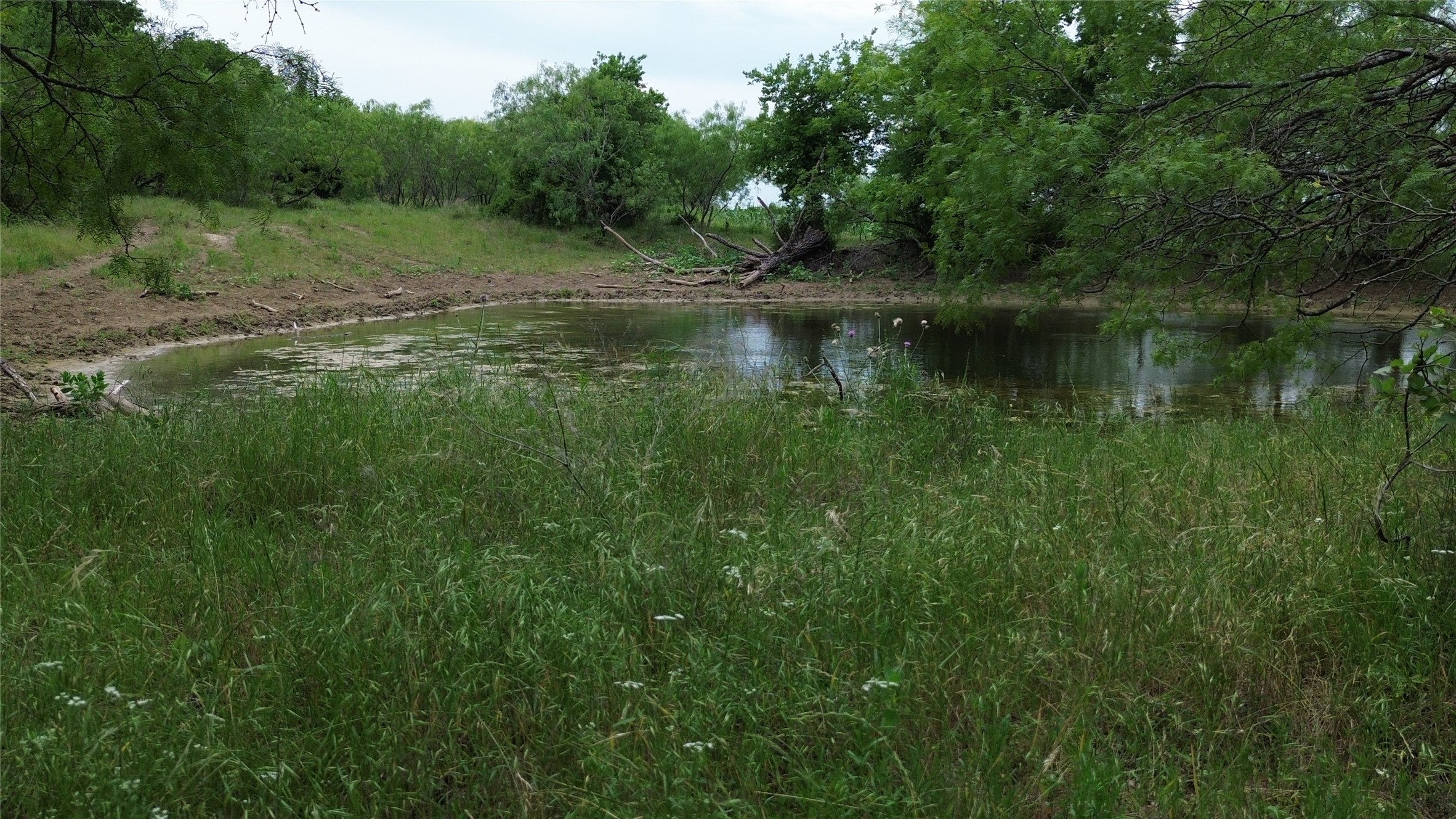 Tbd N County Road 3110 Hillsboro TX 76645