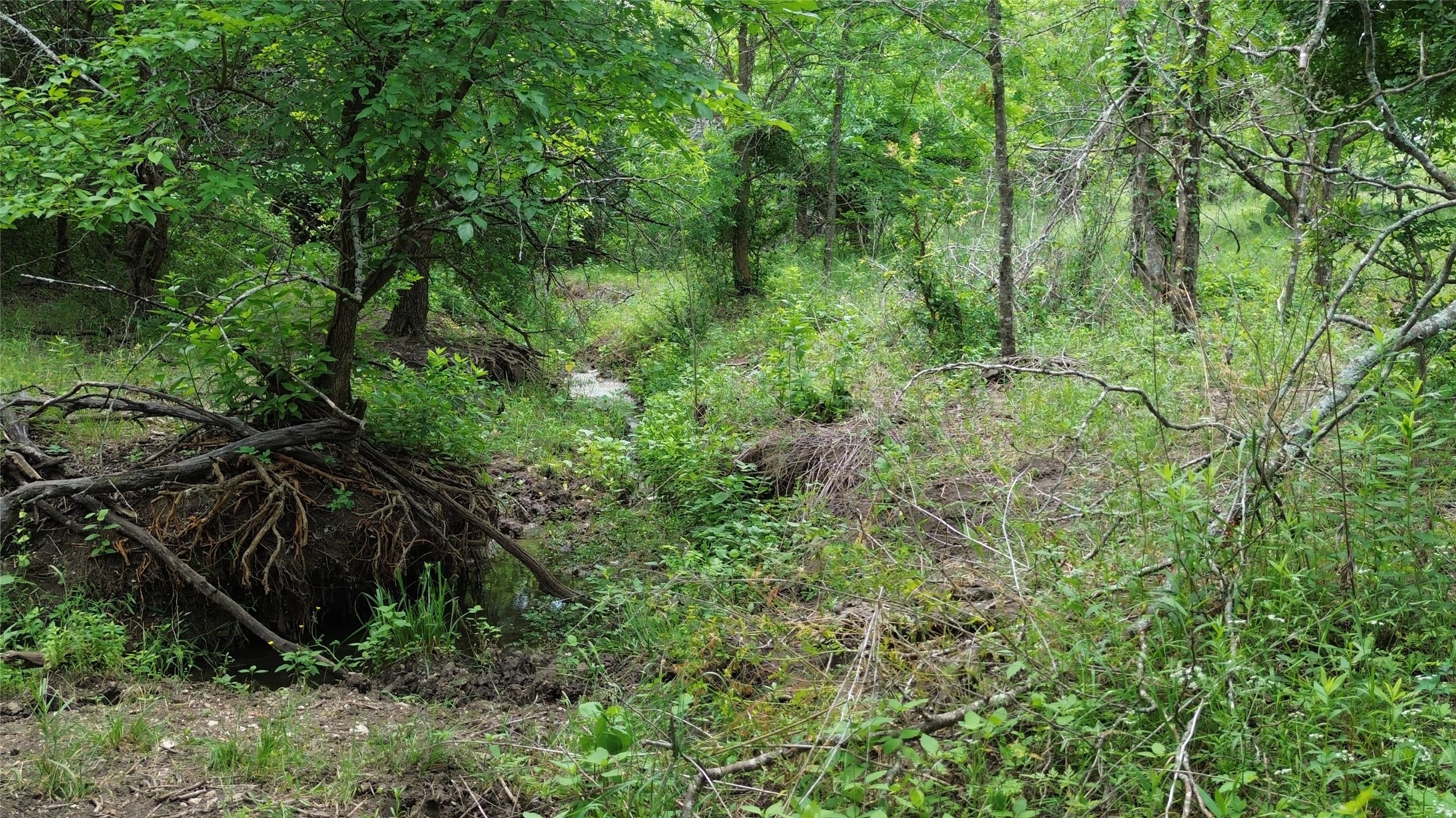 Tbd N County Road 3110 Hillsboro TX 76645